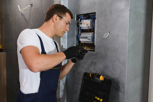 Best Ceiling Fan Installation Electrician  in Blue Mound, IL